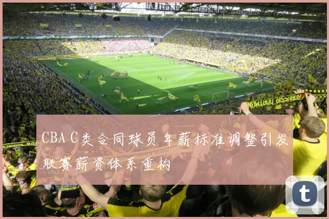 CBA C类合同球员年薪标准调整引发联赛薪资体系重构
